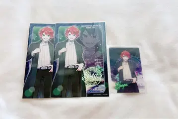 컬러풀 피치 토부 동물공원 카드 쟈파파