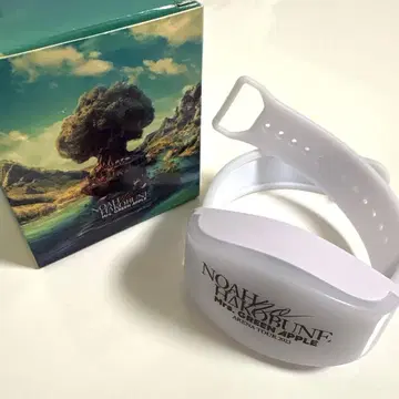 Mrs.GREEN APPLE 노아의 방주 라이트 밴드 외박 있음