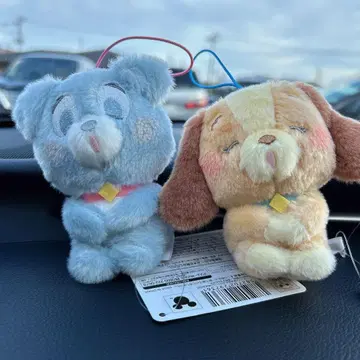 아기 강아지 이야기 네무구루미 레이디 카드놀이