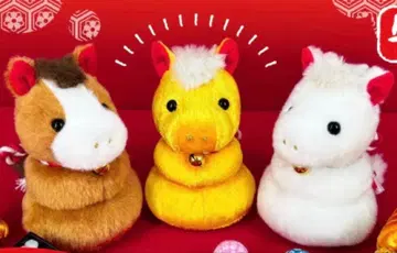 우마못치 2026년 브라운 골드 컬러 화이트 컬러 우체국 한정판