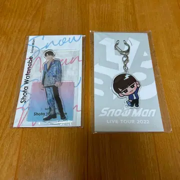 와타나베 쇼타 [ Fast 아크릴 스탠드 스노우 칠 키링 ]