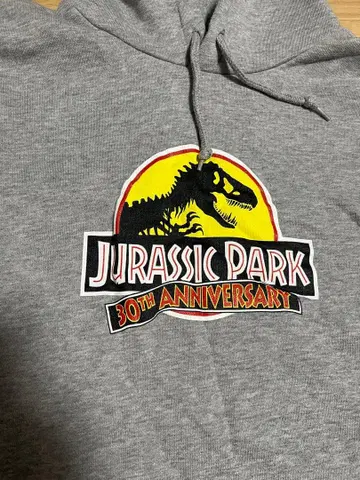 스타터 쥬라기 파크 콜라보 후드티 starter