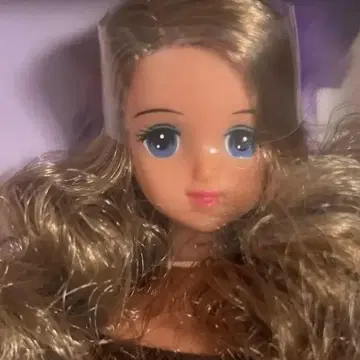 타카라 제니 프렌드 상자 및 스탠드 미포함