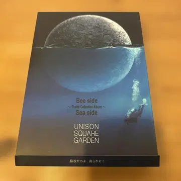 UNISON SQUARE GARDEN Bee side Sea side