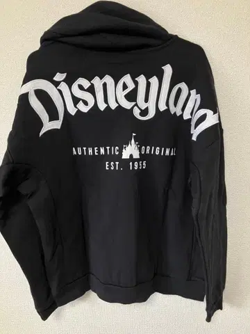 미국 디즈니 한정판 후드티 스피릿 저지