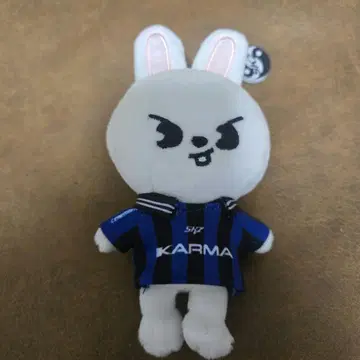 [ 공식 ] straykids 스키즈 karma 리비트