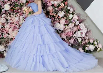 컬러 드레스 파니에 포함