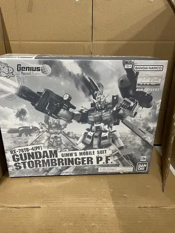 MG 1/100 건담 스톰브링거 P.F.