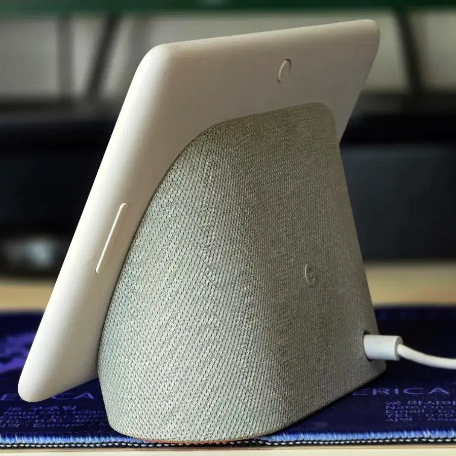 Google Nest Hub 1st Gen AI Smart Speaker