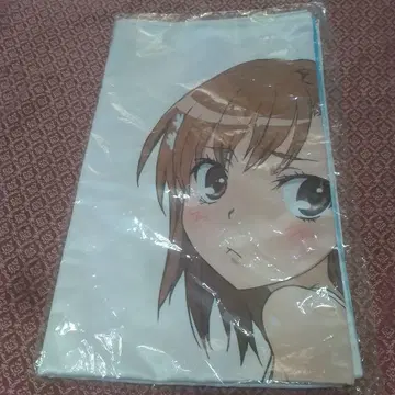 히코쿠지 어떤 과학의 초전자포T 라스트상 거의 등신대 멀티크로스