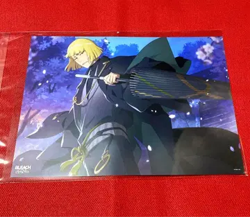 BLEACH 471 정전기 포스터 브레솔 히라코 신지