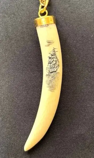 Jack Ackerman의 Maui Divers 목걸이