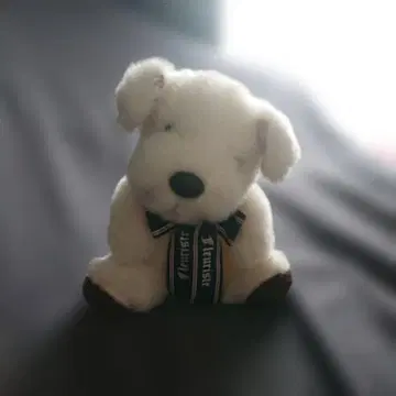 [ SUN ARROW ] 테리어견 플로리스트 쇼와 레트로 빈티지