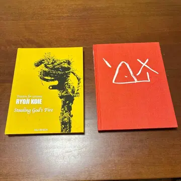 코이에 료지 작품집 도판 THE WORKS OF RYOJI KOIE