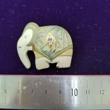 톨 페인트. 여성용, 액세서리.