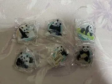 카에데하마 아크릴 스탠드 어드벤처 월드