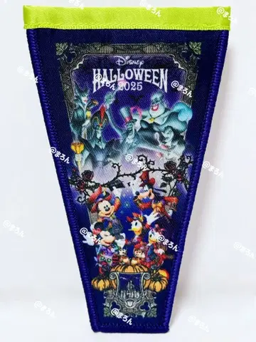 할로윈 2025 빌런즈 와펜 가랜드 시크릿 디즈니