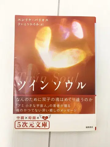 트윈 소울 엔리케 바리오스