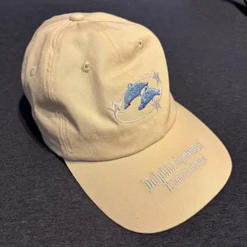 돌핀 아파트 캡