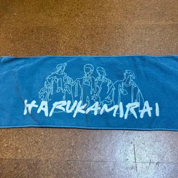 하루카미라이 타월 1