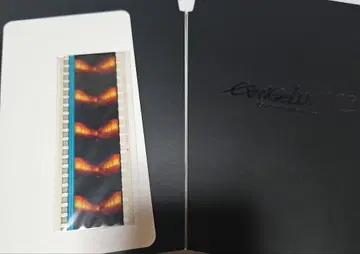 에반게리온 신극장판 생필름 신지 기차