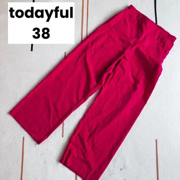 TODAYFUL Washer Seamless Pants38 와이드 팬츠