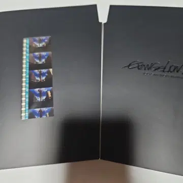 에반게리온 신극장판 생필름 영호기