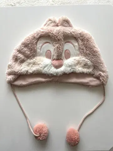 디즈니씨 팬캡 칩 데일