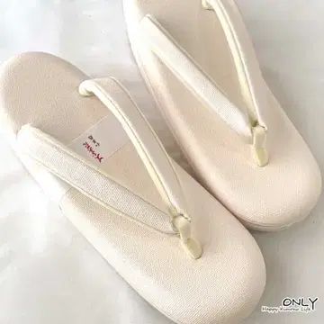 zo-25S 저반발 캔버스 조리 발이 아프지 않은 하이 쿠션 22.5cm