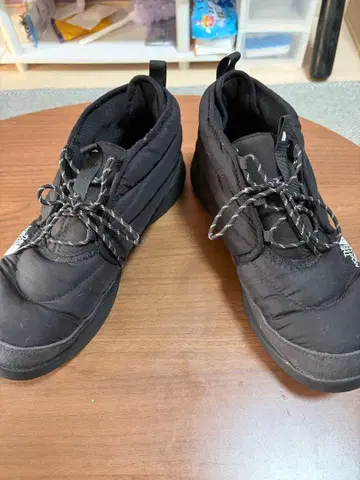 THE NORTH FACE 신발