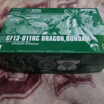 HG 1/144 드래곤 건담