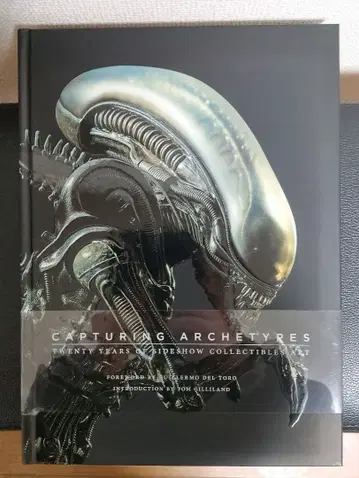 CAPTURING ARCHETYPES