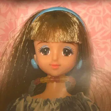 제니 타카라 일광화상 제니 제니짱 갈색 머리 포장 방법 확인해주세요