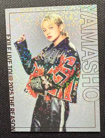 EXILE THE REASON 야마모토 쇼고 시크릿