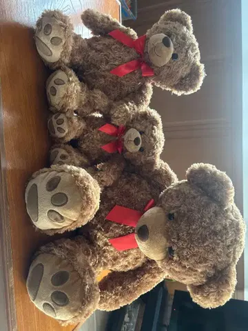 레어템! 테디베어 라지, 미디엄, 스몰 3체 세트