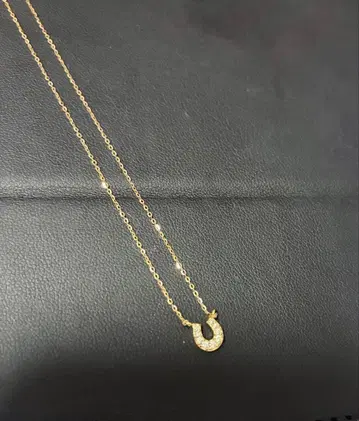 최종 가격 인하 ete 10k 말굽 목걸이