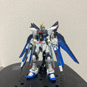 RG 스트라이크 프리덤 건담 [ 설명문 필독 ]