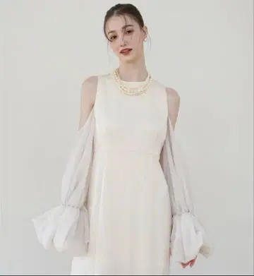 Acka. sheer melt sleeve dress