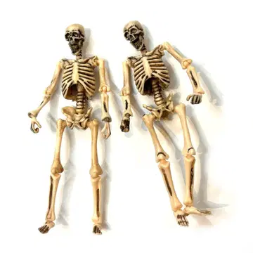 싸워라 해골맨 본체 뼈 색상