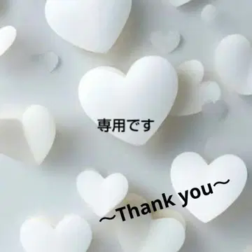 Rady 셋업 프리 사이즈