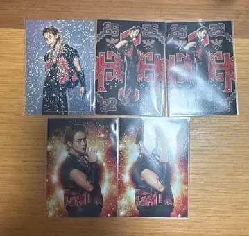 EXILE THE REASON 이와타니 쇼고 포토 카드 컴프 시크릿