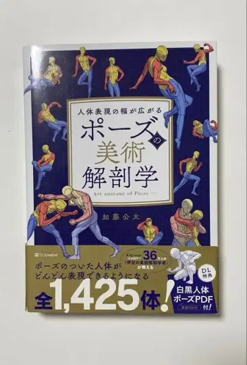 포즈의 미술 해부학