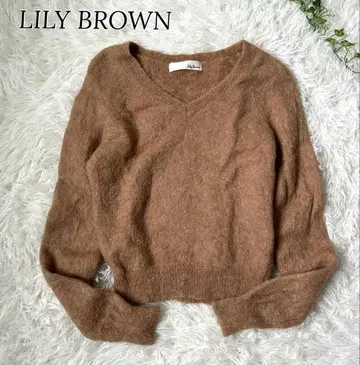 릴리 브라운 알파카 샤기 니트 v넥