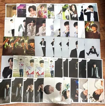 겐지부 벚꽃 마사야 브로마이드 세트