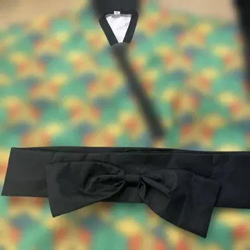 귀멸 코스프레 사비토