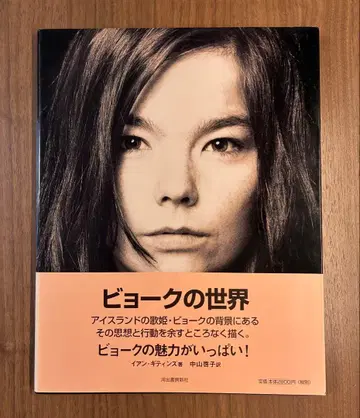 비요크의 세계 이언 기티스 저