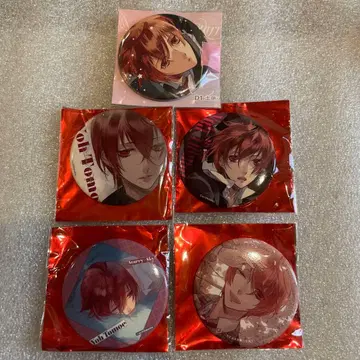 starry sky 스타스카 토모에 히츠지 캔뱃지 AGF