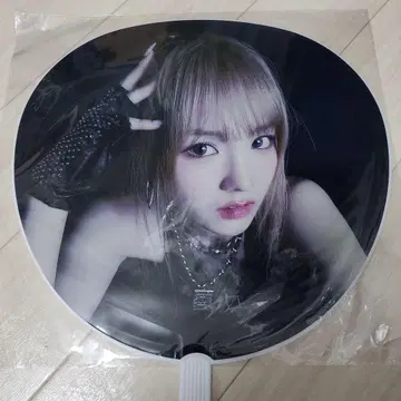 WOOAH WOOAH LAND AGAIN in Japan 부채 세트