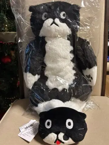 애프터눈 티 체리온주 모짱 세트