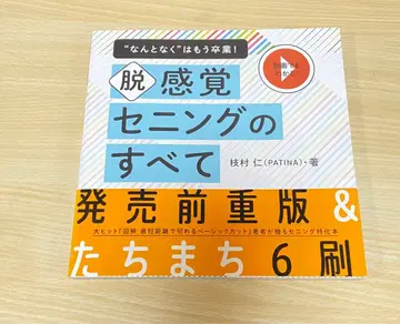 탈감각 세닝의 모든 것 에다무라 히토시 미용사 대상 기술 도서